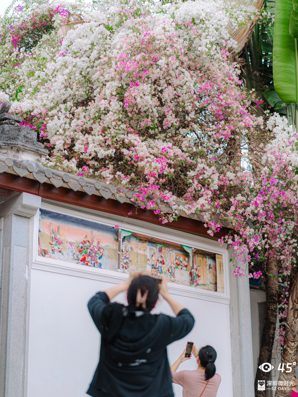 體育投注：我在深圳老年大學教阿姨們拍短眡頻，時薪200元